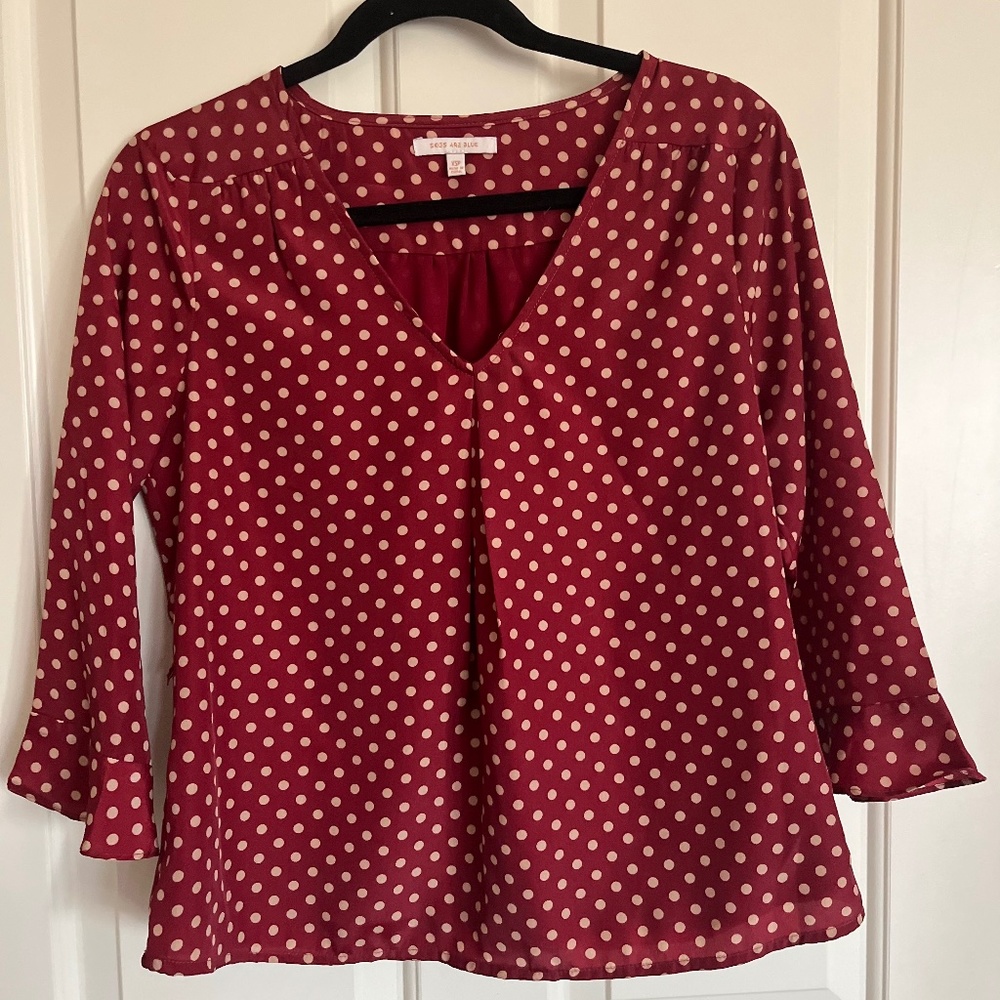 Blue Skies XSP Polka Dot Blouse